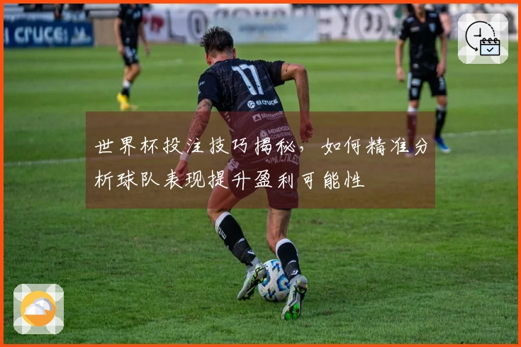 世界杯投注技巧揭秘，如何精准分析球队表现提升盈利可能性