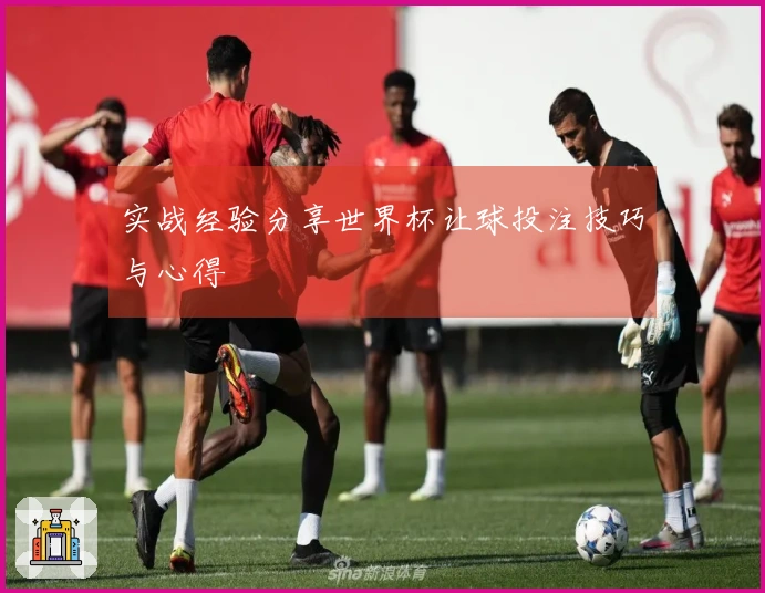 实战经验分享世界杯让球投注技巧与心得