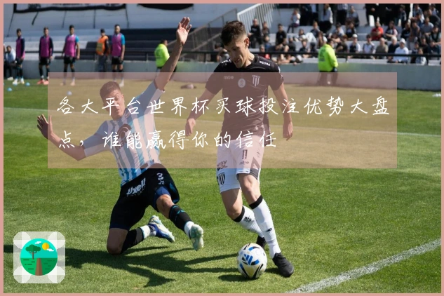 各大平台世界杯买球投注优势大盘点，谁能赢得你的信任