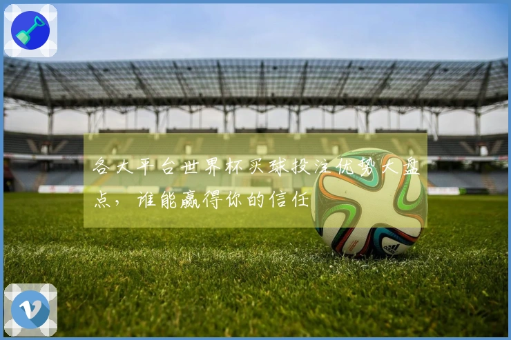 各大平台世界杯买球投注优势大盘点，谁能赢得你的信任
