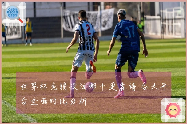 世界杯竞猜投注哪个更靠谱 各大平台全面对比分析