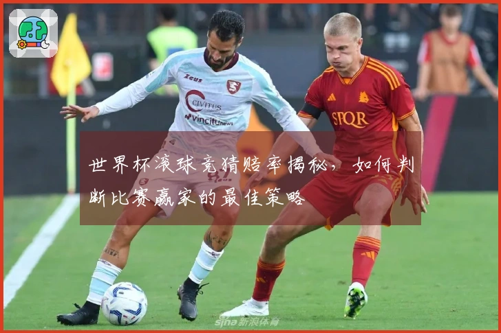 世界杯滚球竞猜赔率揭秘，如何判断比赛赢家的最佳策略